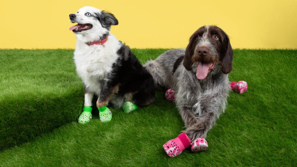 Crocs Unleashes Doggy Drip: Limited-Edition Pet Crocs